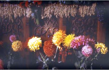 portion of old rood screen